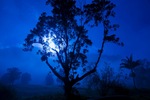 moon rising over mountain