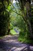 driveway into Nimbin waterfall retreat