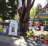 Nimbin Markets