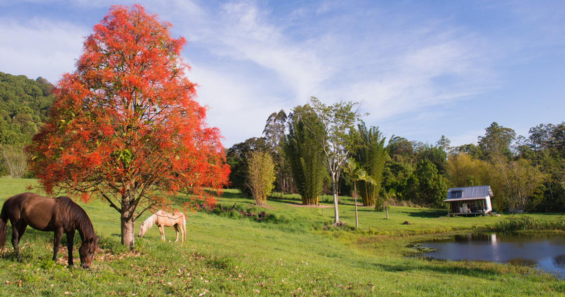 Nimbin Waterfall Retreat