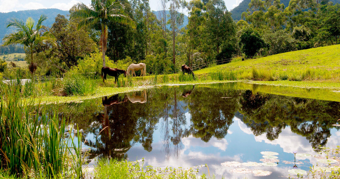 Nimbin Waterfall Retreat