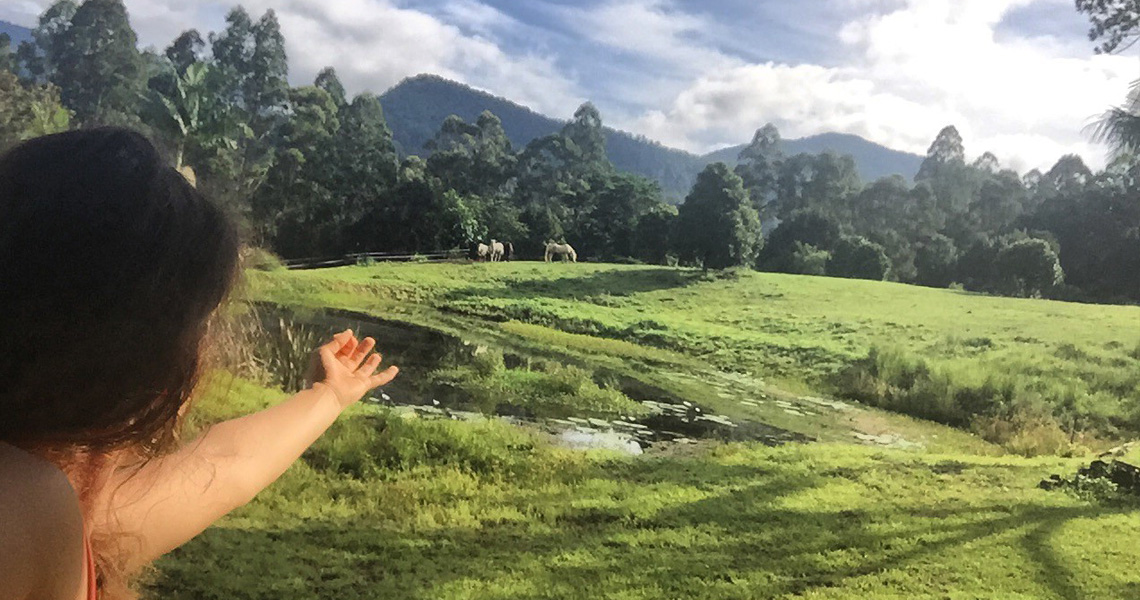 Nimbin Waterfall Retreat