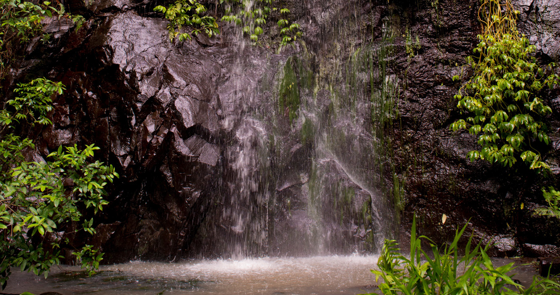 Nimbin Waterfall Retreat